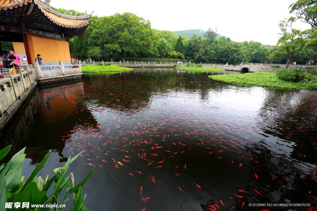 普陀山普济禅寺