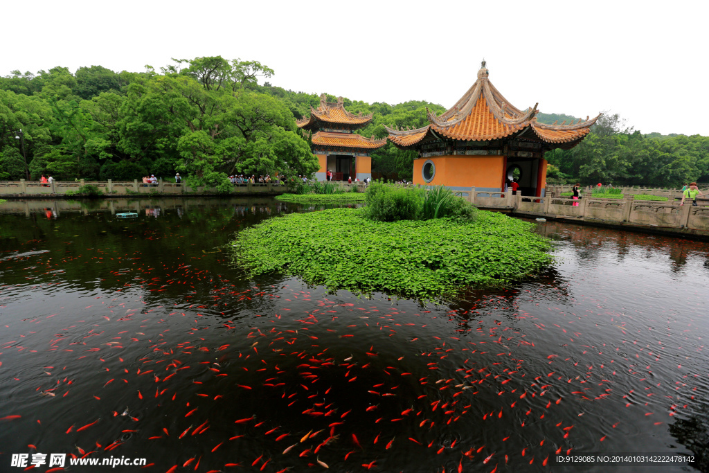 普陀山普济禅寺