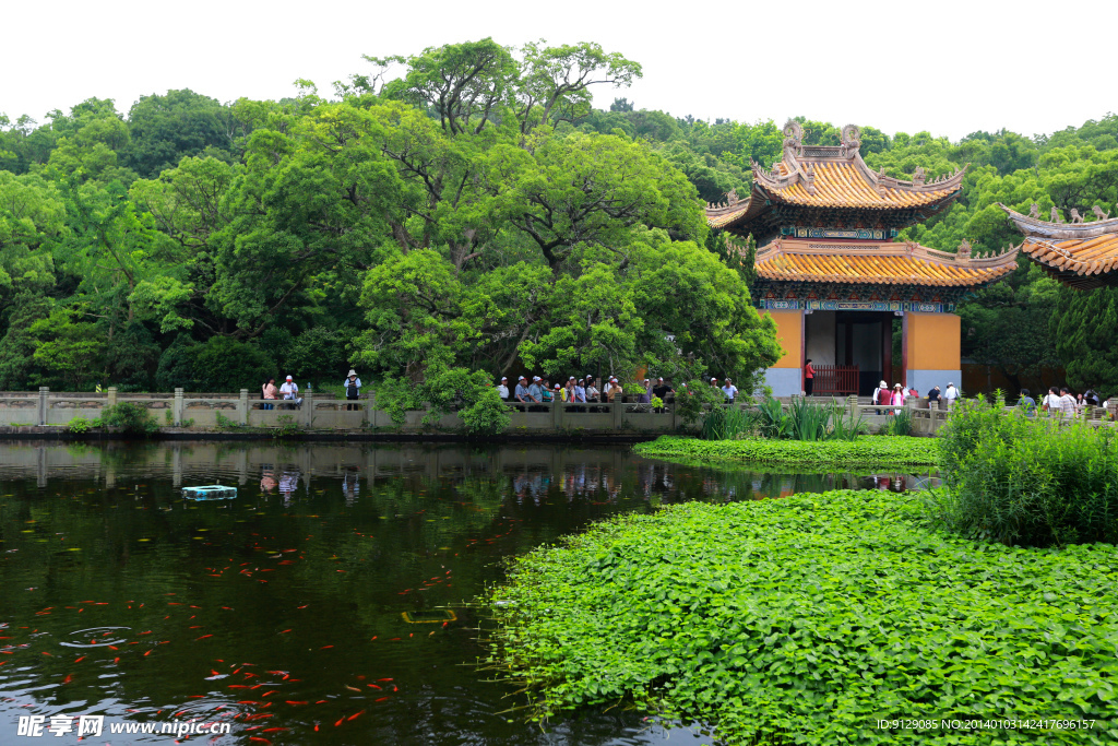 普陀山普济禅寺