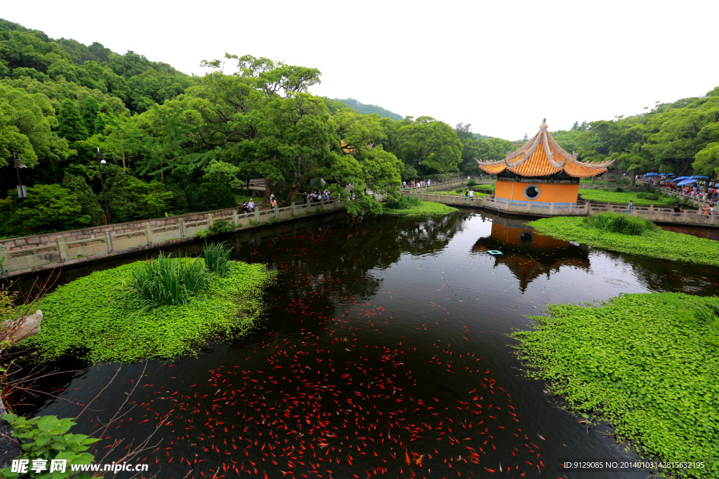 普陀山普济禅寺