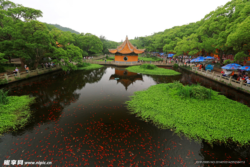 普陀山普济禅寺