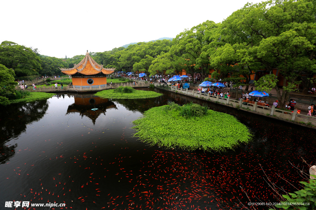 普陀山普济禅寺