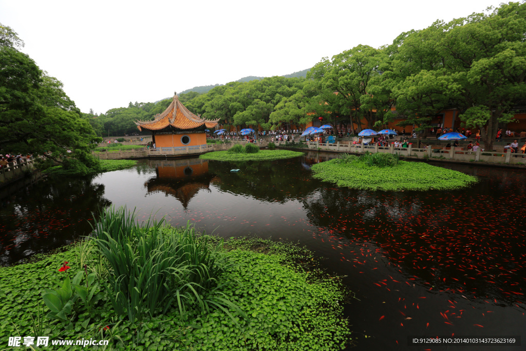 普陀山普济禅寺