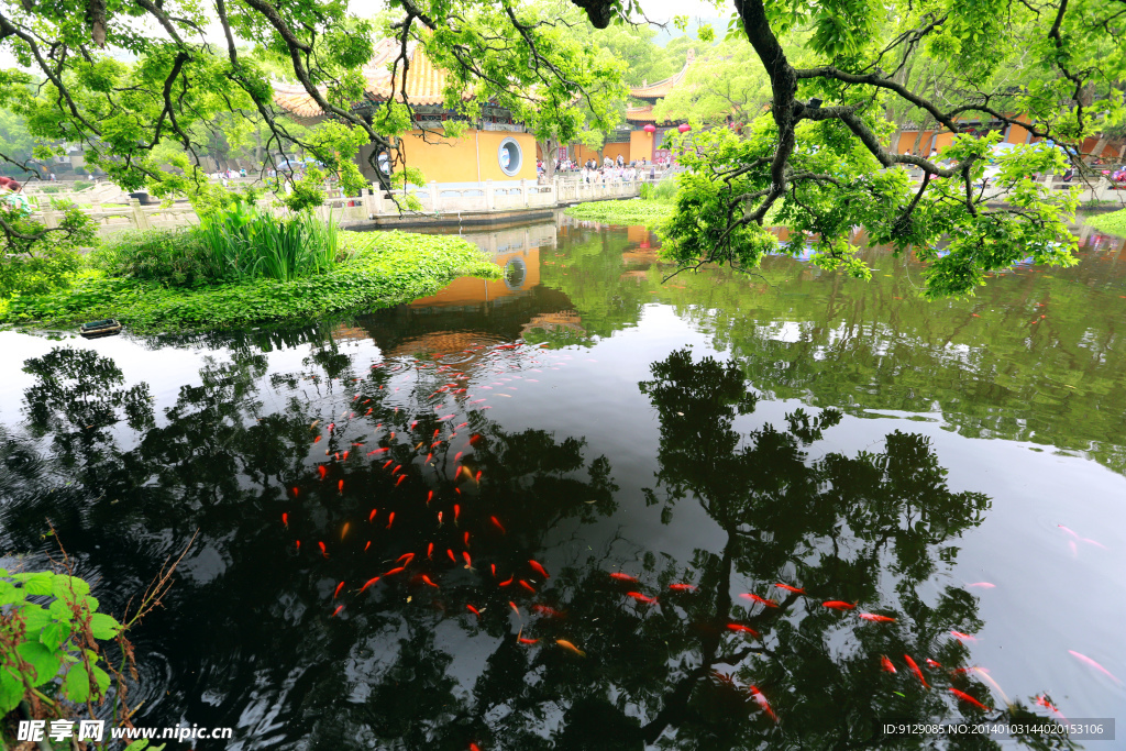 普陀山普济禅寺