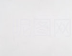 南斯拉夫白