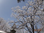 紫竹院雪景