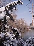 紫竹院雪景