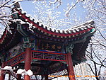 紫竹院四君亭雪景