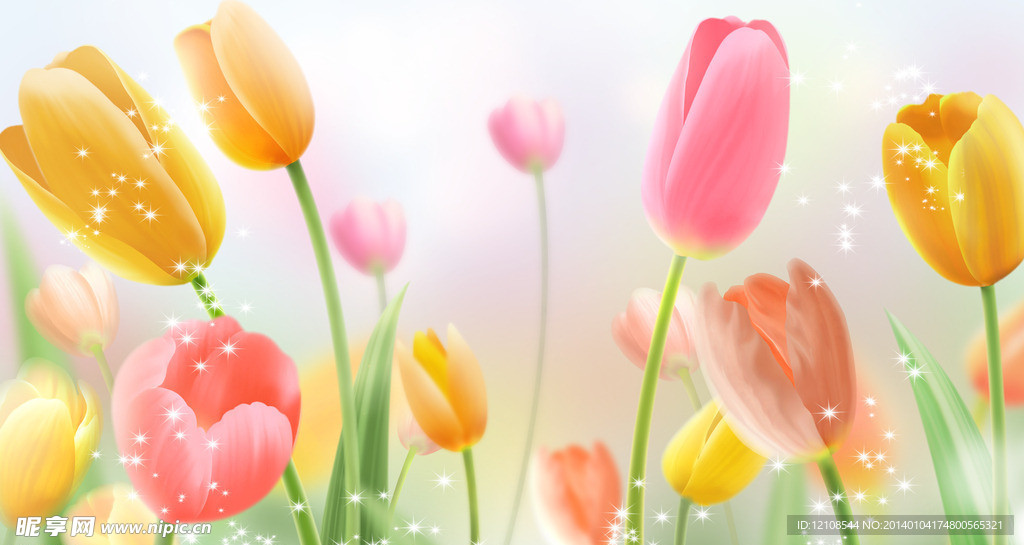 梦幻郁金香源文件下载