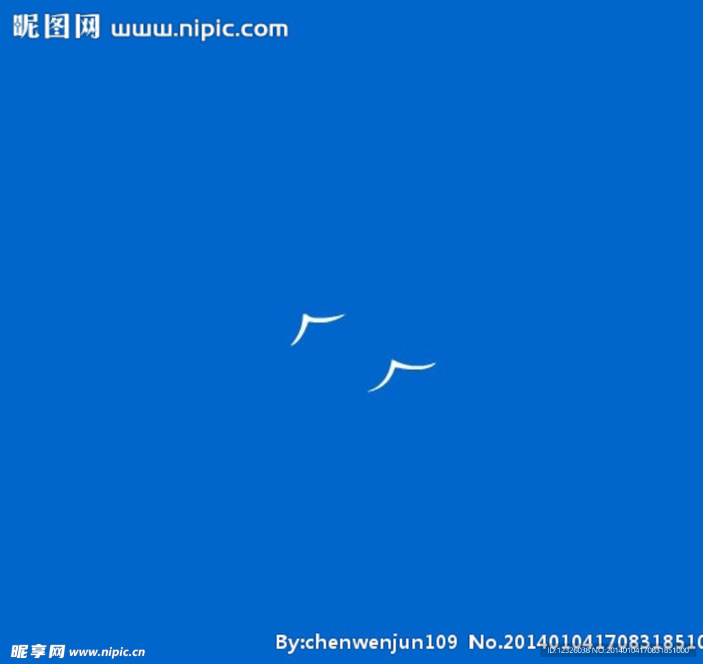 海鸥