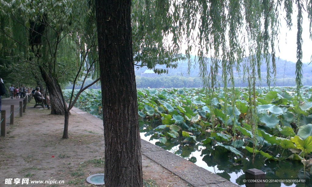 西湖