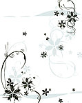 花纹