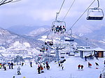 韩国阳智度假村冬季