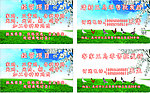 清新鸡档名片