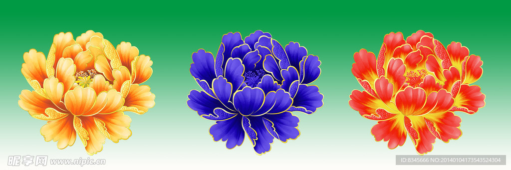 牡丹花