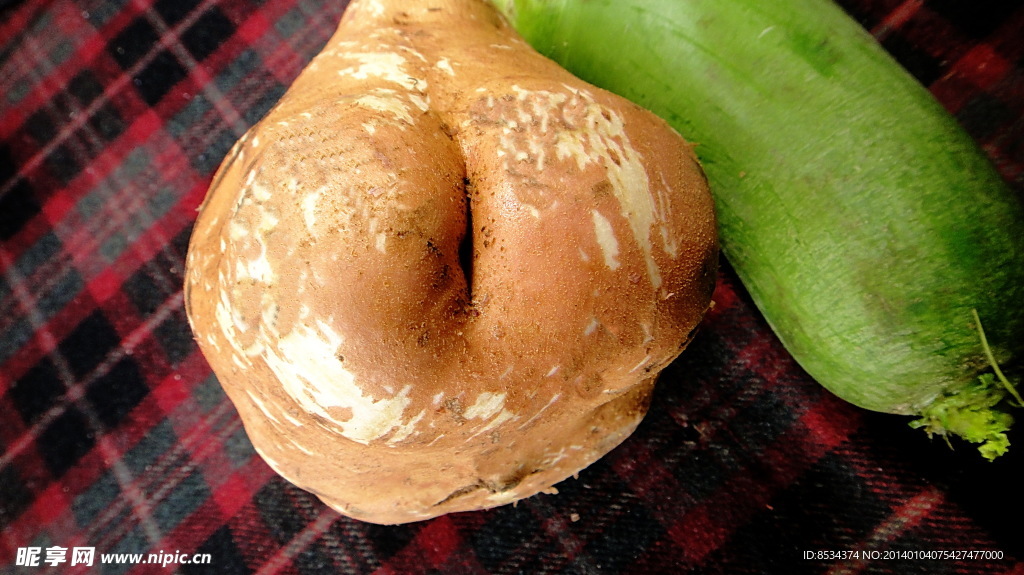 蔬菜