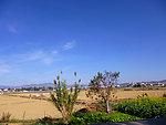 田园风光