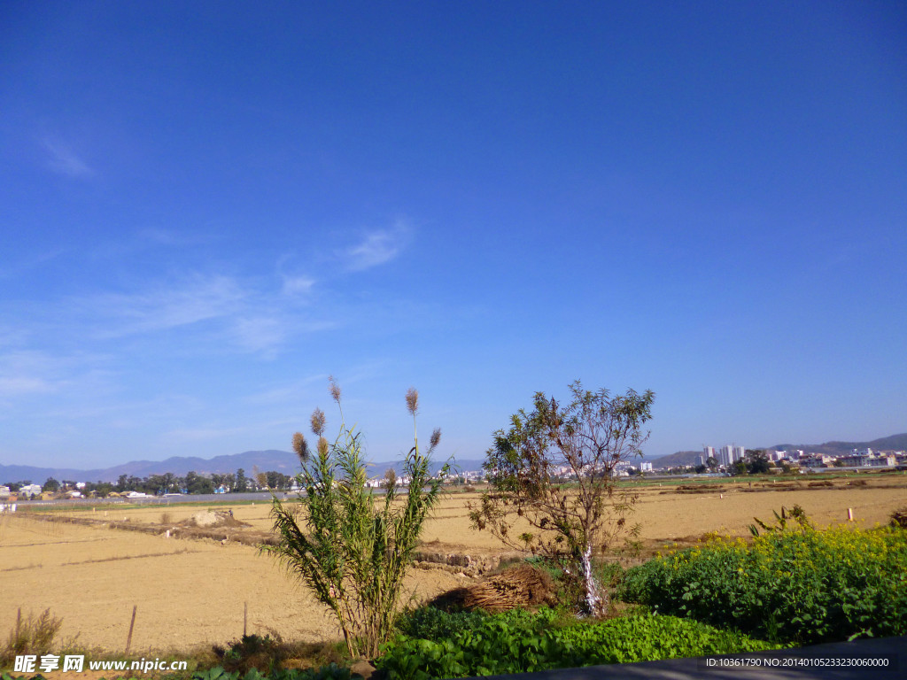 田园风光