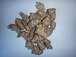 文山三七