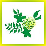 花纹