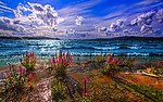 大海风景