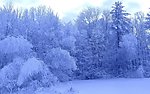 雪景