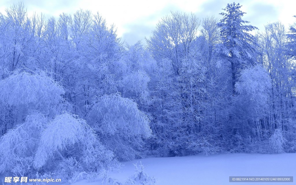 雪景