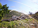 农村风光