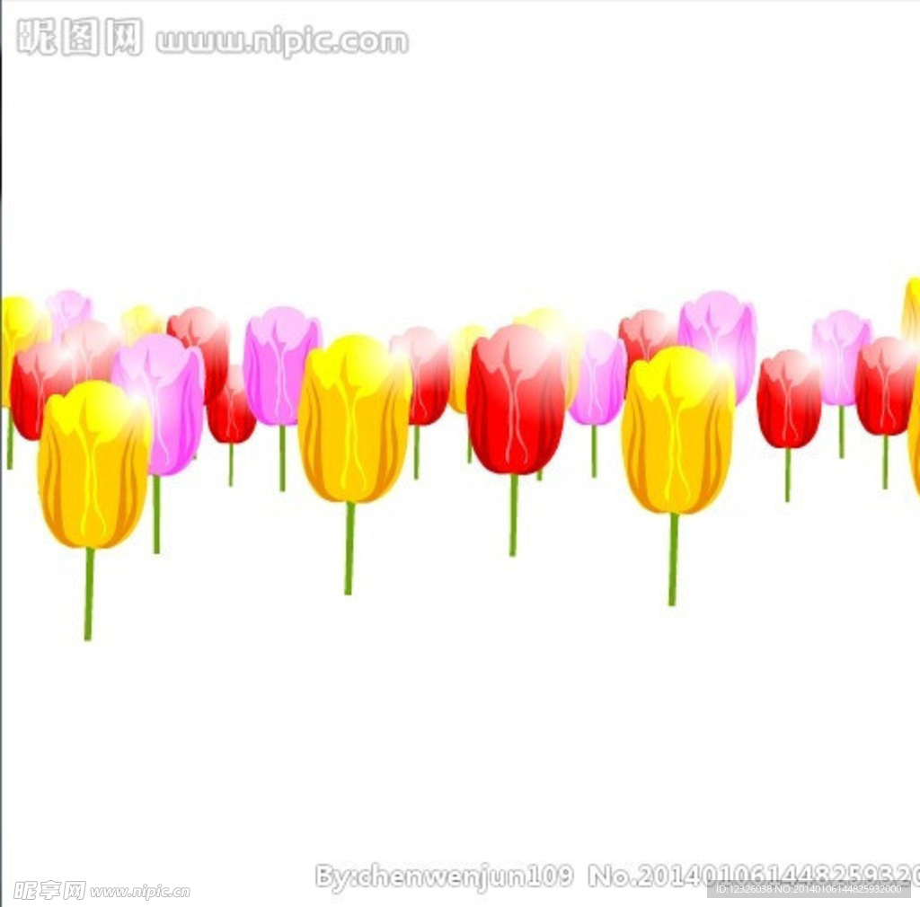 郁金花