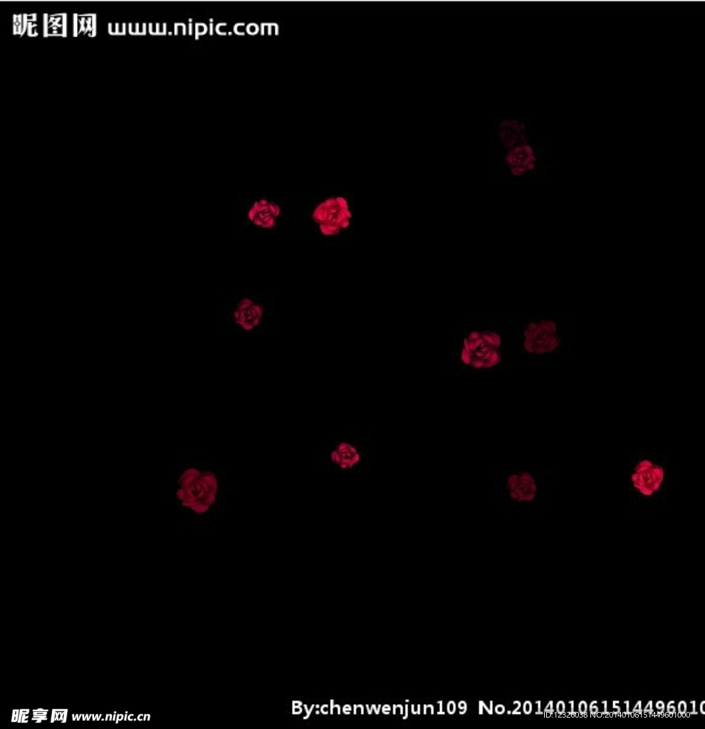 玫瑰花