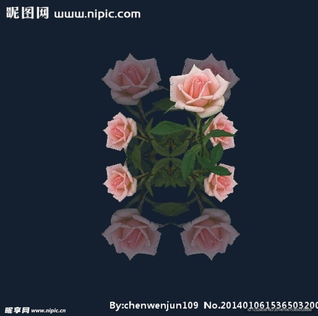 玫瑰花