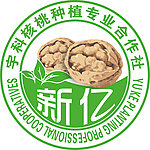 新亿核桃