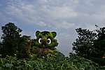 老虎花坛