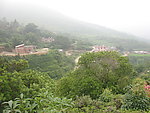 农村