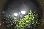 朦胧灯光夜色