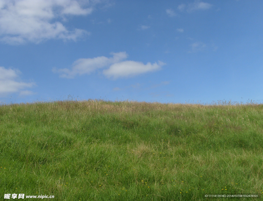 新西兰风景