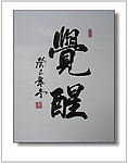 觉醒书法