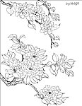 茶花线描