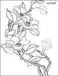 茶花线描