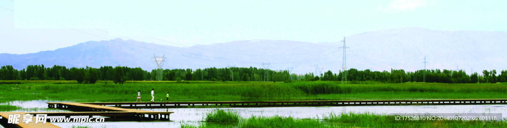 甘肃张掖湿地风光