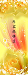 黄玫瑰