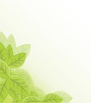 绿叶环保背景