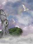 梦幻风景