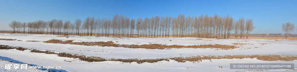 雪野