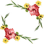 菊花边框