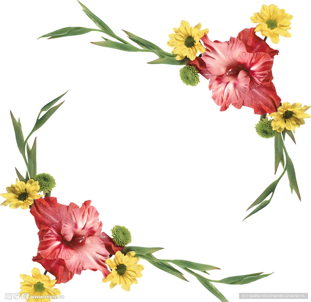 菊花边框
