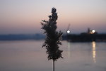 黄河滩
