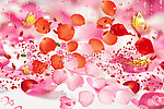 玫瑰花瓣