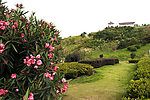 公园风景
