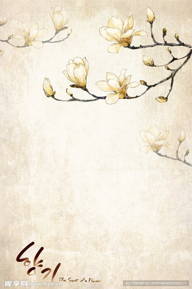 手绘玉兰花